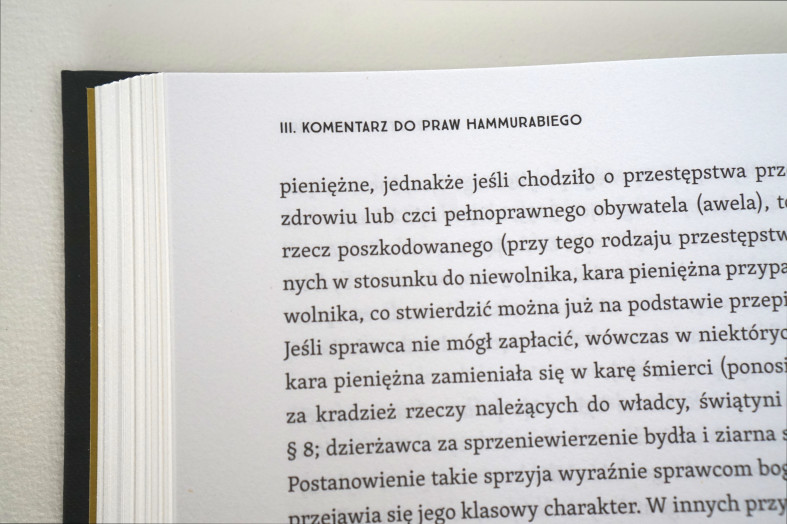 Prawa Hammurabiego_10