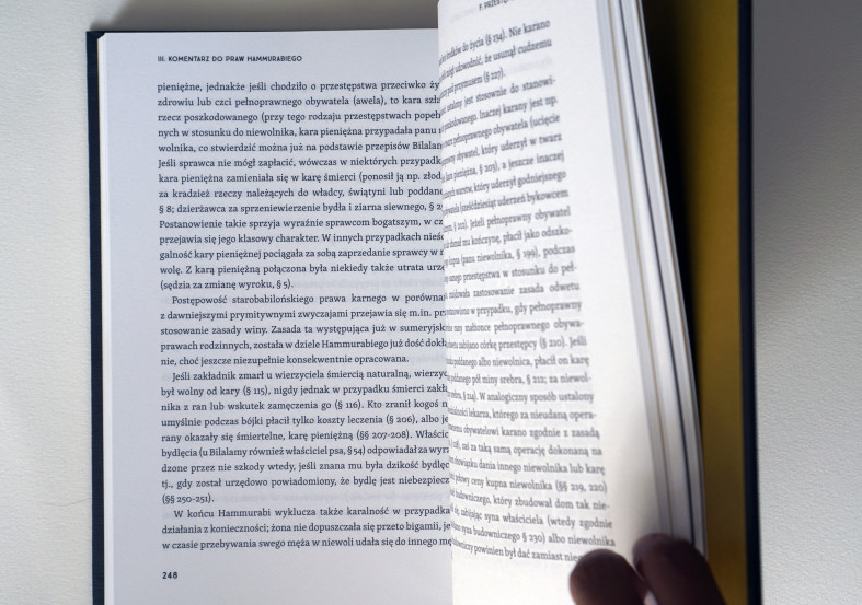 Prawa Hammurabiego_11